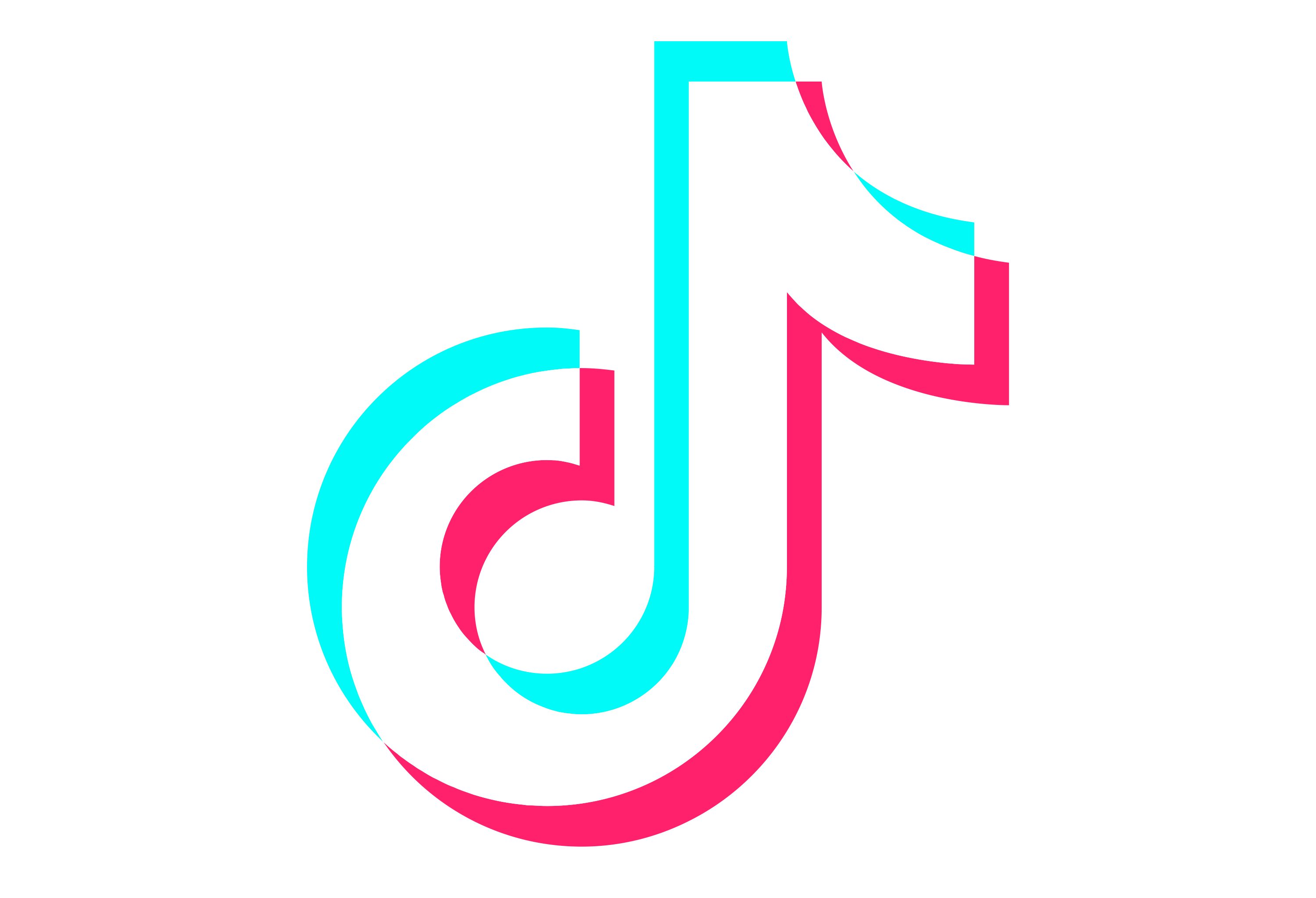 TikTok Ads